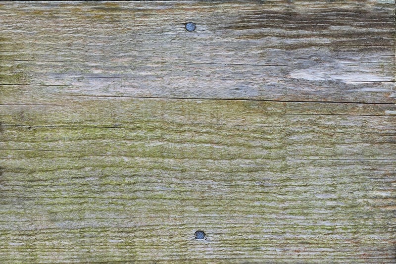 Rustic Wood Elements